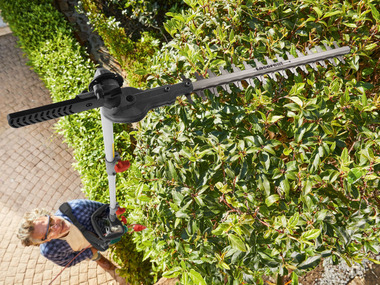 Hedge scissors with a long handle