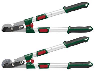 Telescopic or anvil telescopic branch