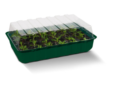 Set of 4 seedling boxes