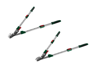 Telescopic branch cutter