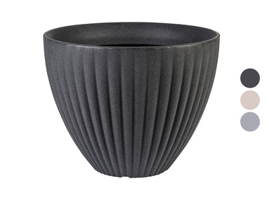 Pot