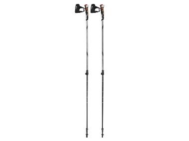 Treking sticks from carbon to Nordic Walking