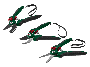 Pruner