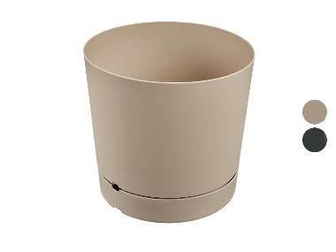 Plant Pot